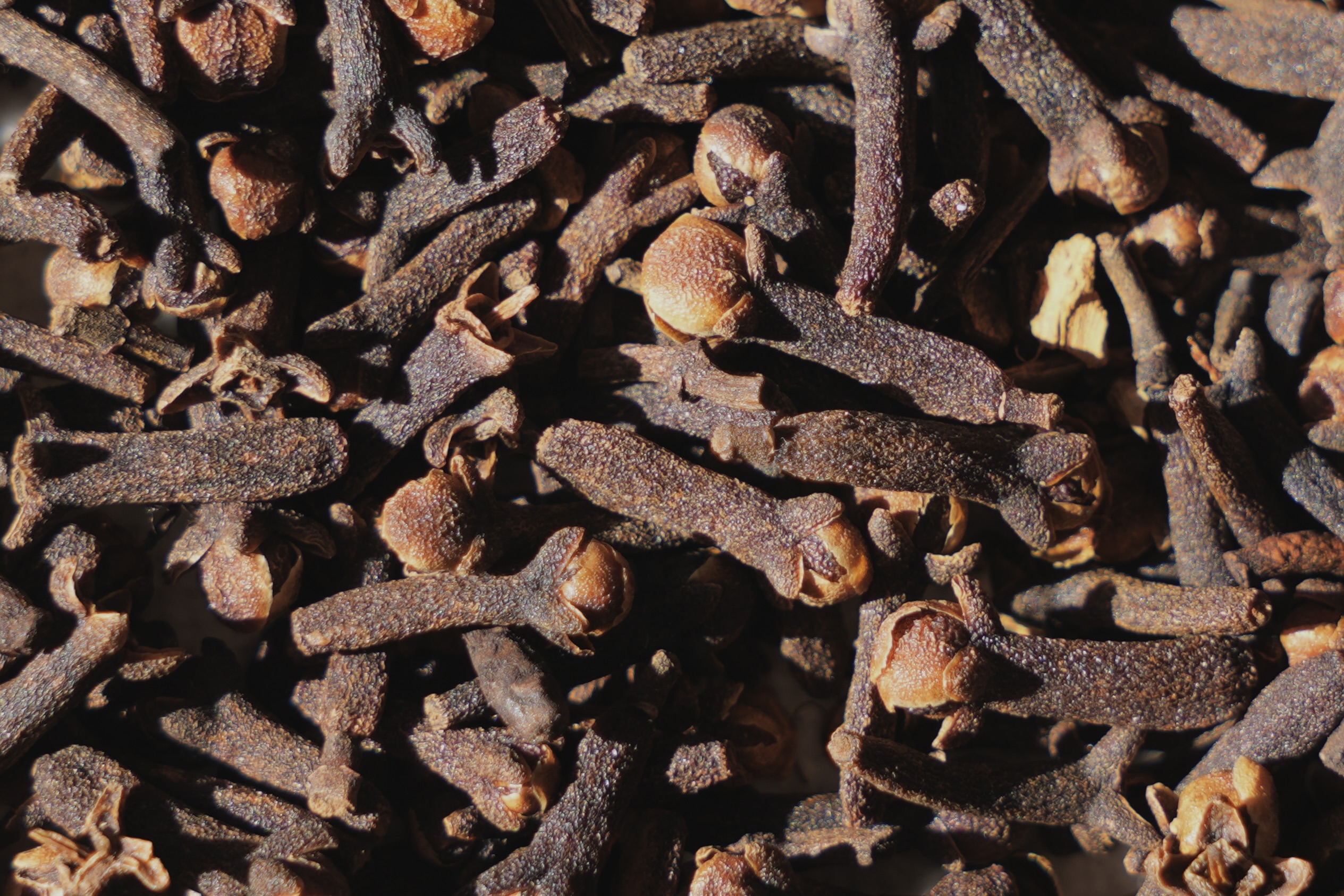 Hand-Picked in India